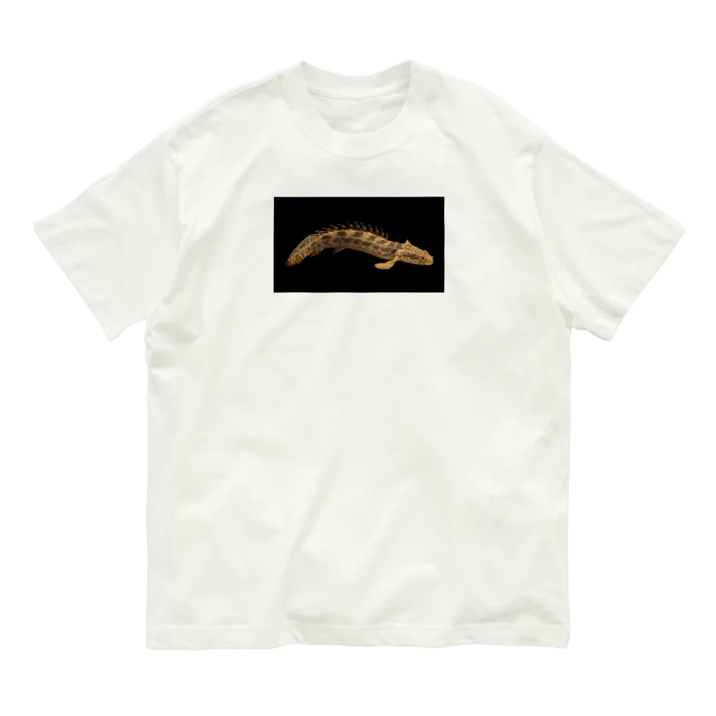 stockboxのポリプテルス グッズ Organic Cotton T-Shirt