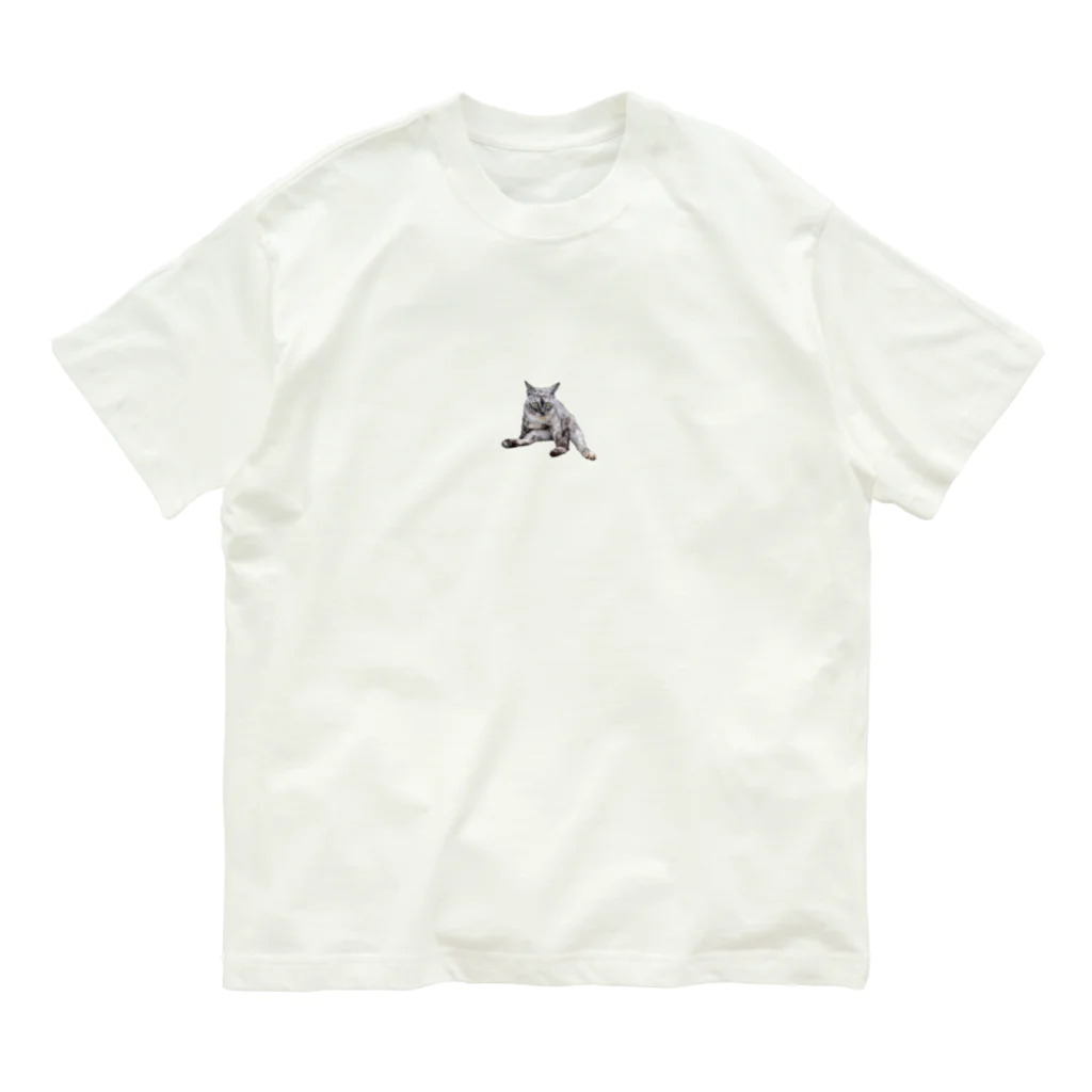 まごわやさしいのガン飛ばし猫（実写） Organic Cotton T-Shirt