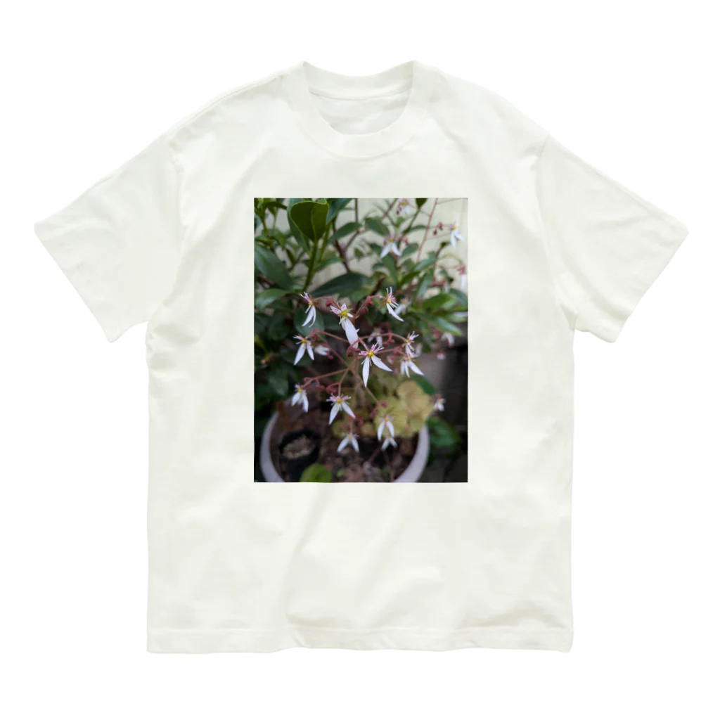 ミクロのユキノシタのお花が可愛らしい〜 Organic Cotton T-Shirt