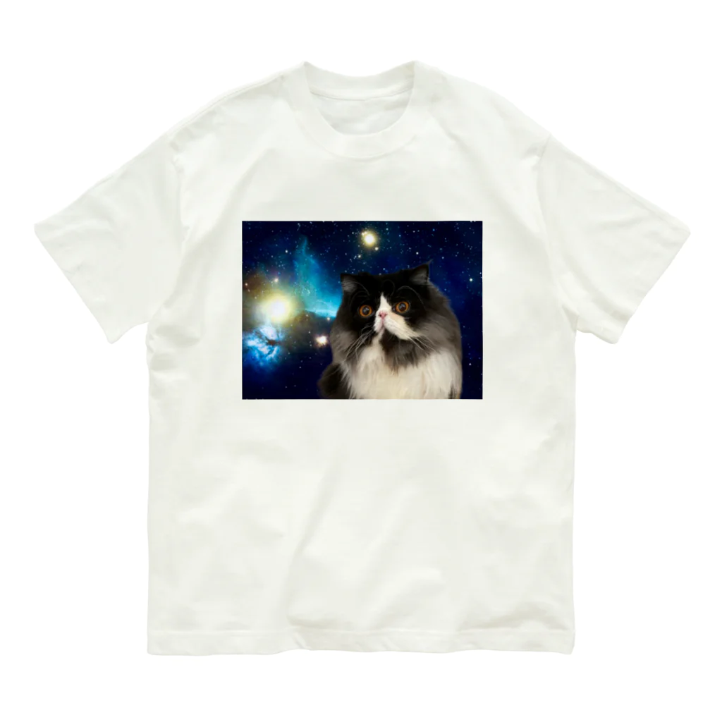 たぬきねこドミの全てを理解したver たぬきねこドミ Organic Cotton T-Shirt