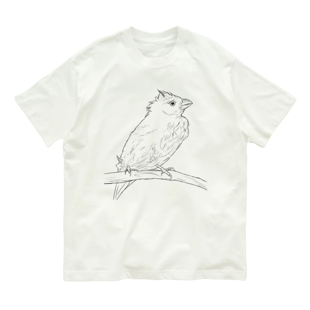 Lily bird（リリーバード）の水浴び文鳥 オーガニックコットンTシャツ