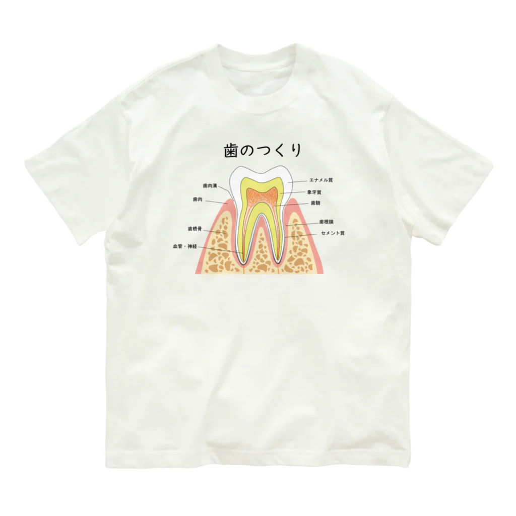 miu8080の歯のつくり オーガニックコットンTシャツ