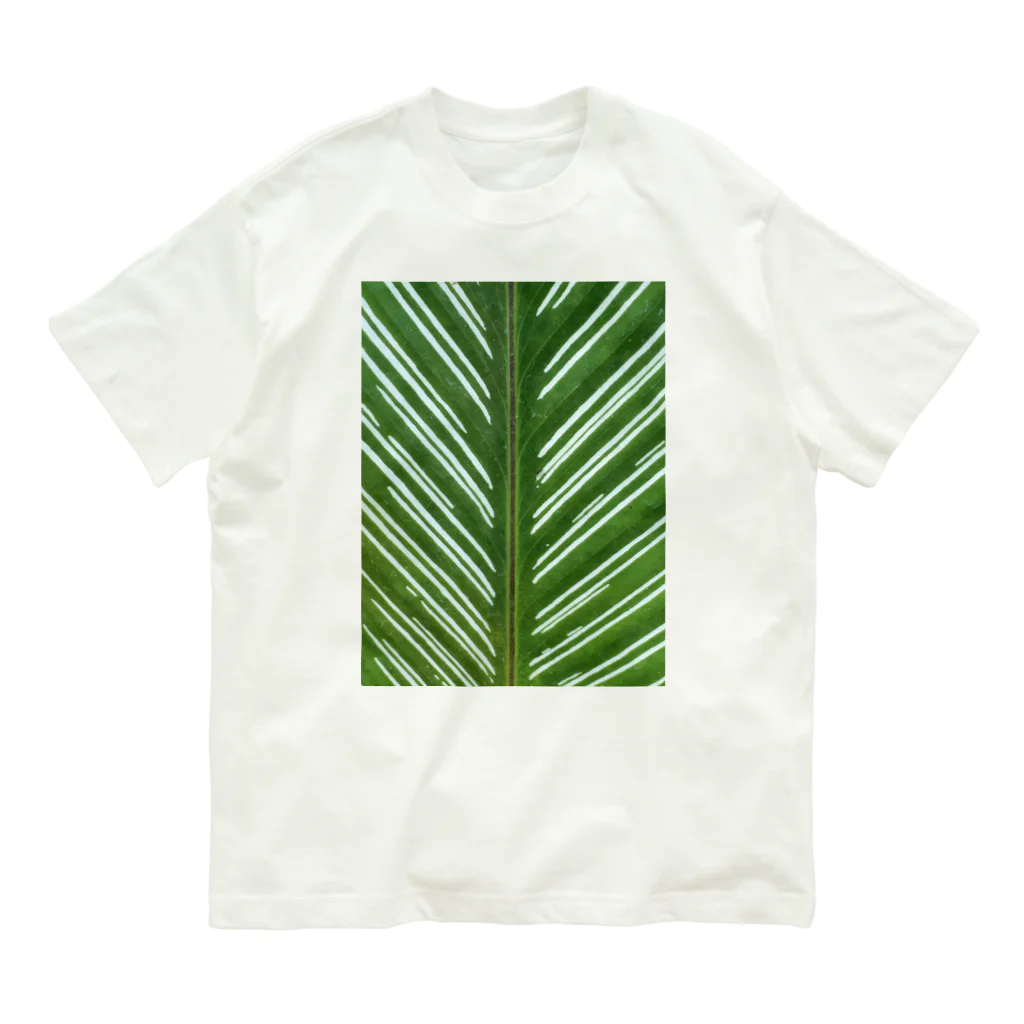 Waternavy & Co.の葉脈 Organic Cotton T-Shirt