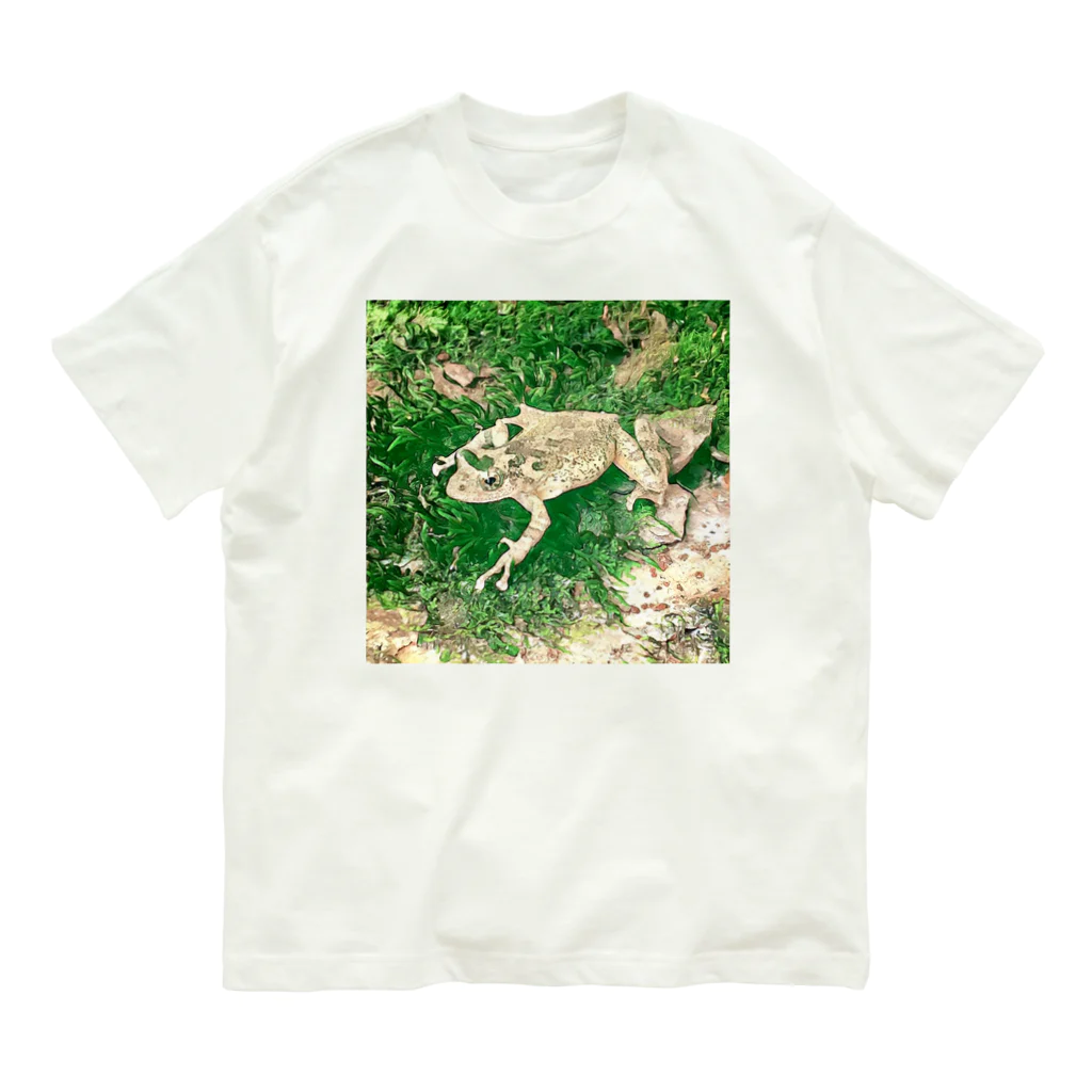 Fantastic FrogのFantastic Frog -Evergreen Version- オーガニックコットンTシャツ