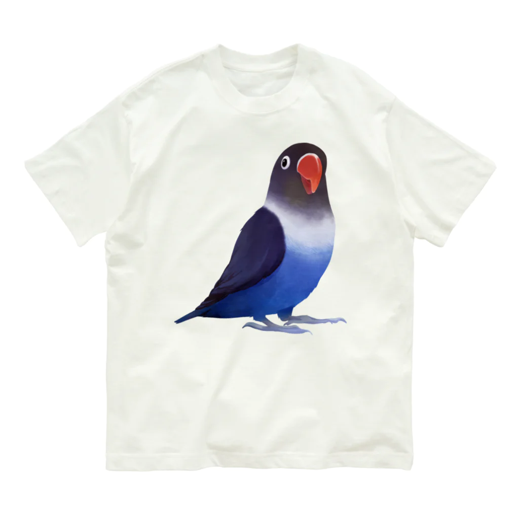 まめるりはことりのボタンインコ　おすましコバルトブルー【まめるりはことり】 オーガニックコットンTシャツ