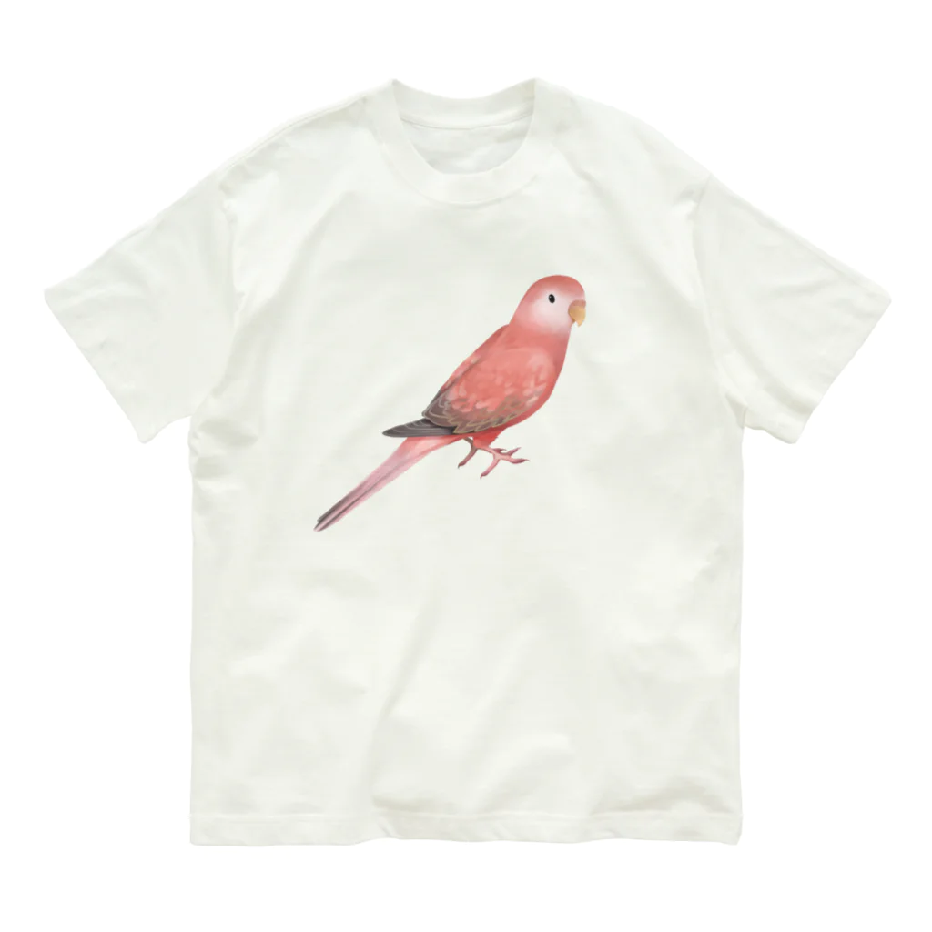 まめるりはことりのアキクサインコ　ピンク【まめるりはことり】 Organic Cotton T-Shirt