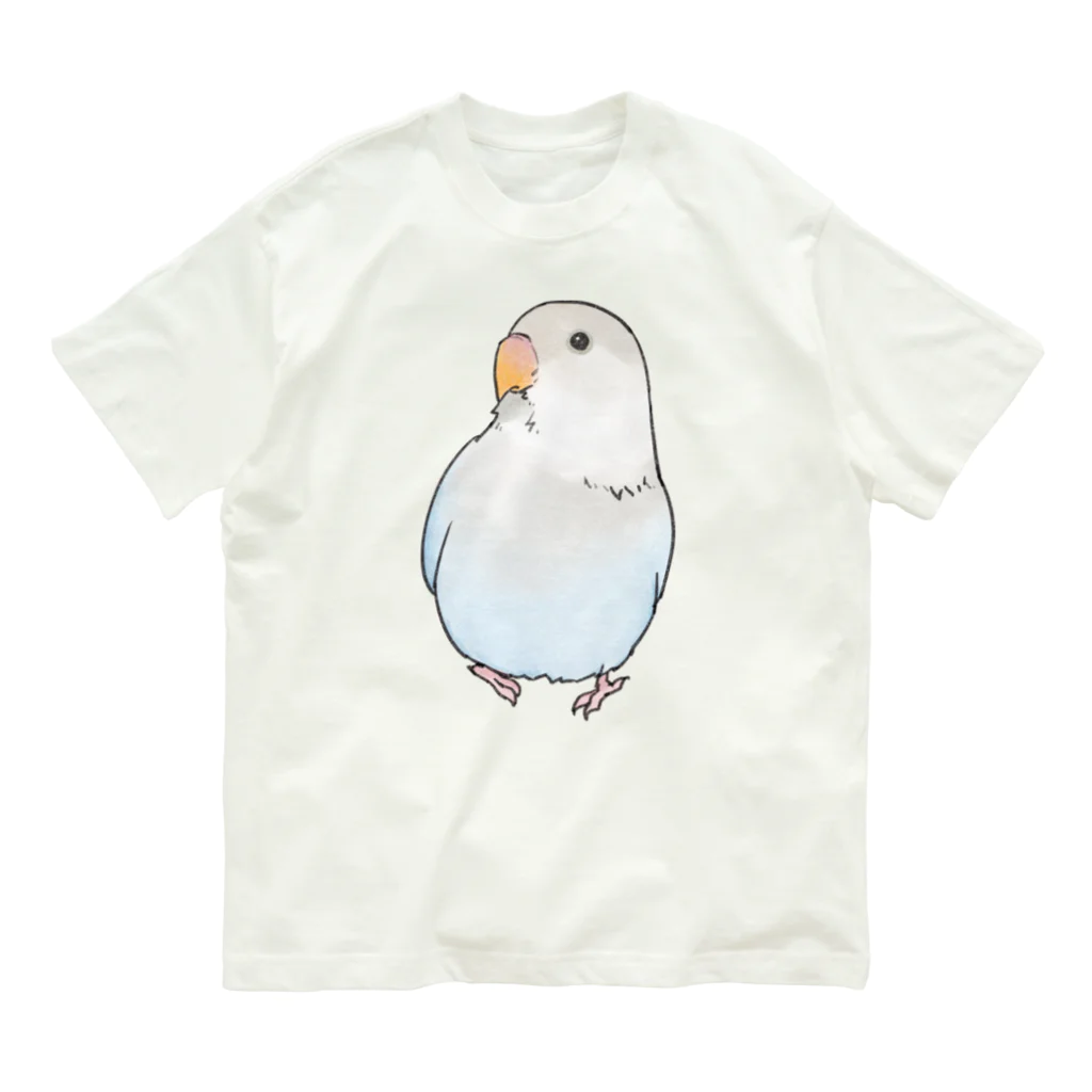 まめるりはことりのおすましコザクラインコ　らむねちゃん【まめるりはことり】 オーガニックコットンTシャツ