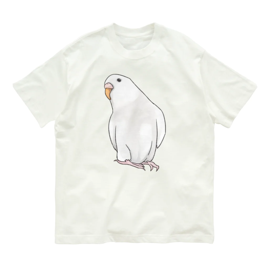 まめるりはことりのアルビノセキセイインコちゃん【まめるりはことり】 オーガニックコットンTシャツ