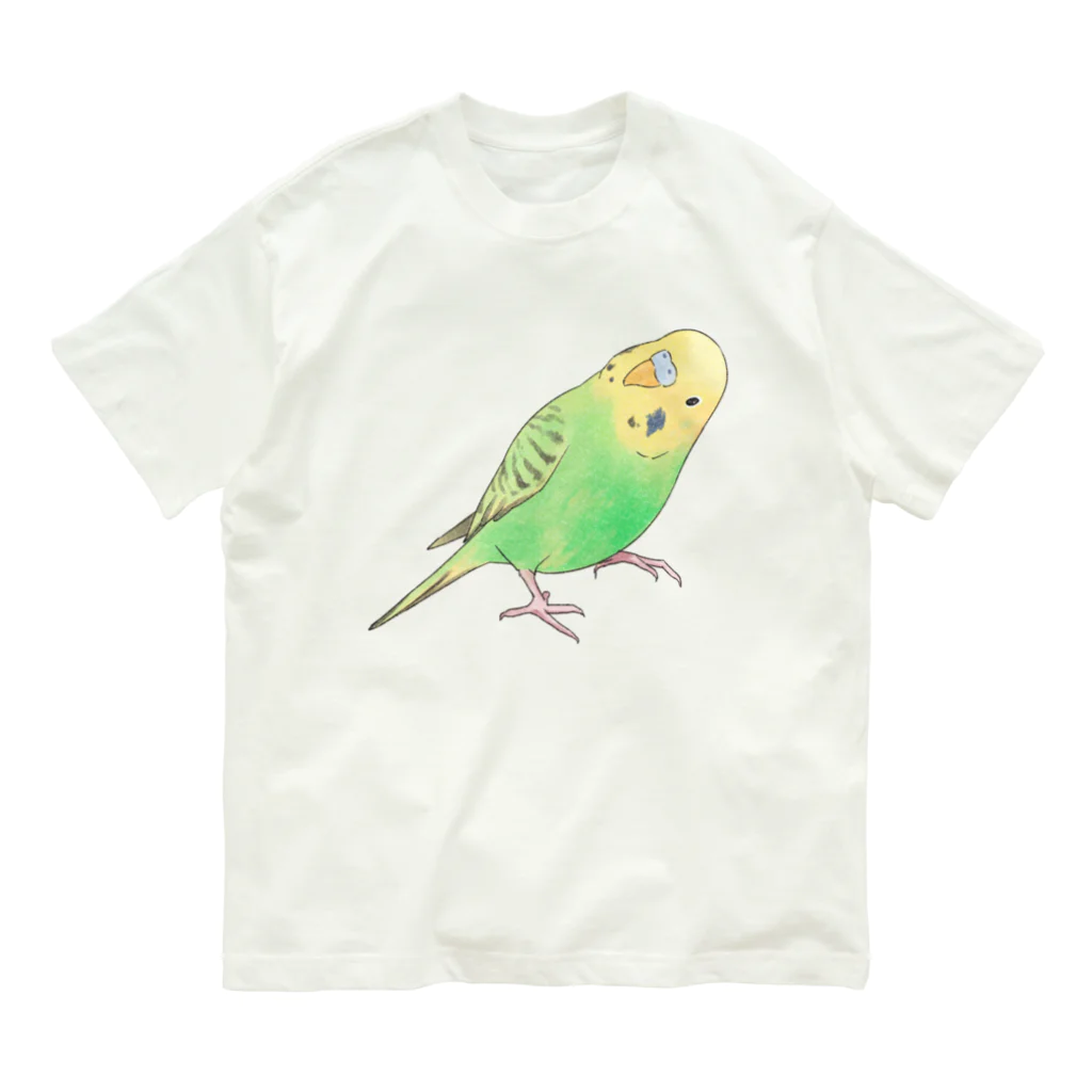 まめるりはことりの首傾げセキセイインコ　ピーちゃん【まめるりはことり】 オーガニックコットンTシャツ