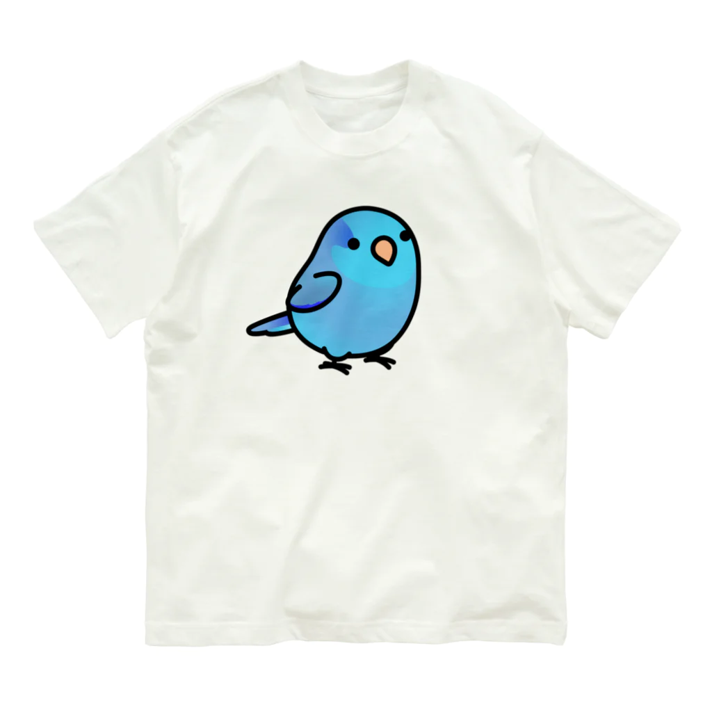 Cody the LovebirdのChubby Bird マメルリハ オーガニックコットンTシャツ