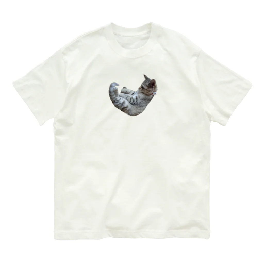 haruのちゃび オーガニックコットンTシャツ