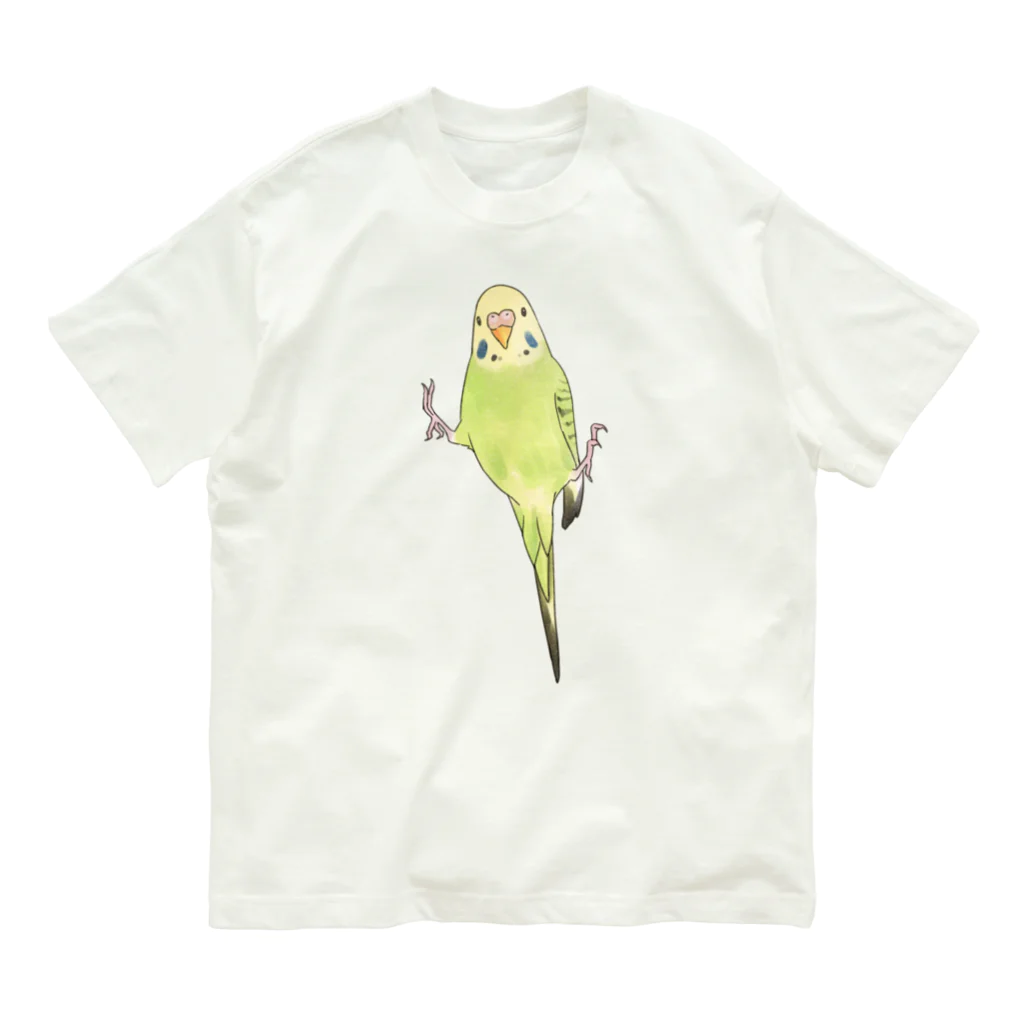 まめるりはことりのピタッとセキセイインコちゃん【まめるりはことり】 オーガニックコットンTシャツ