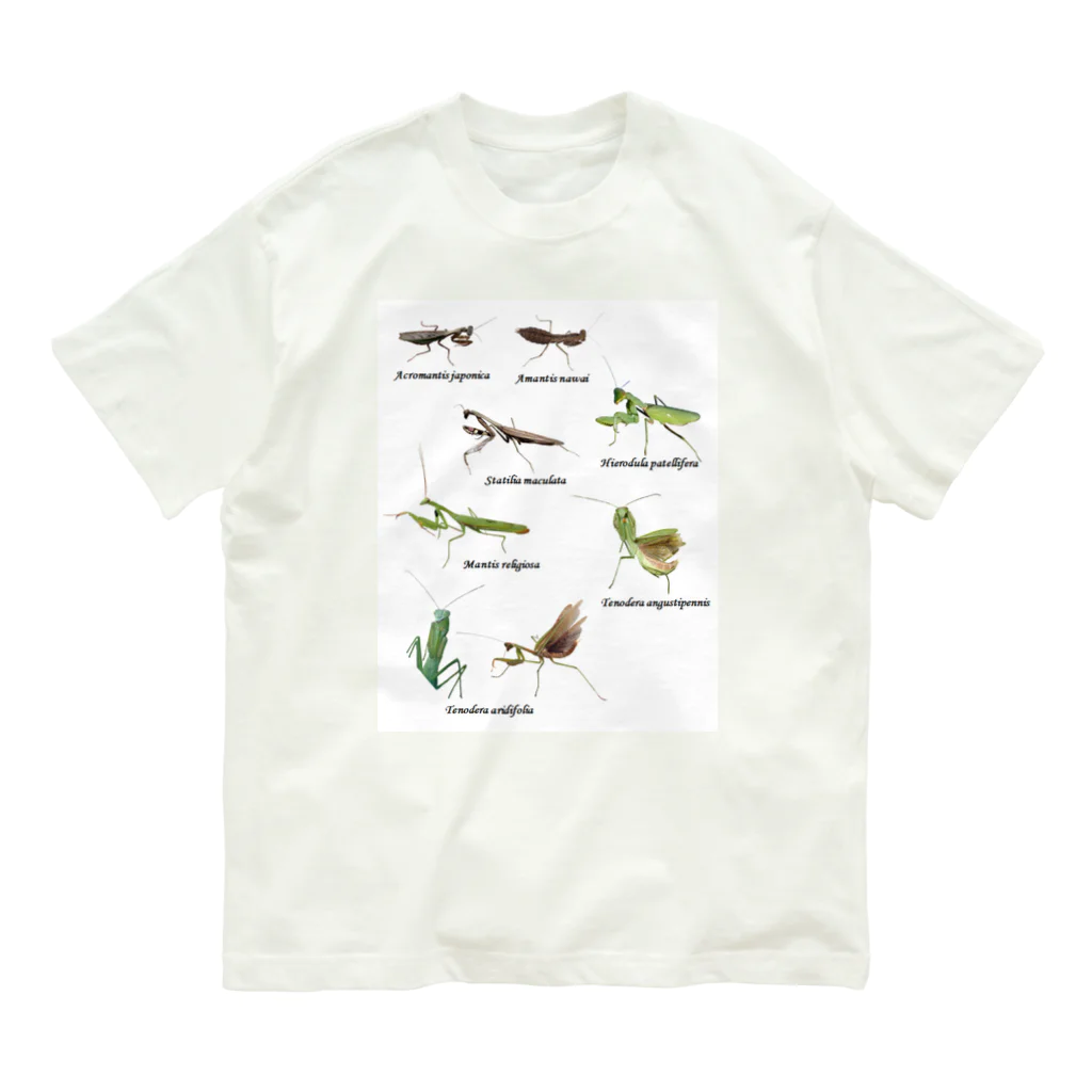 L_arctoaの関東のカマキリ（旧学名・非推奨）（背景白色ver） Organic Cotton T-Shirt