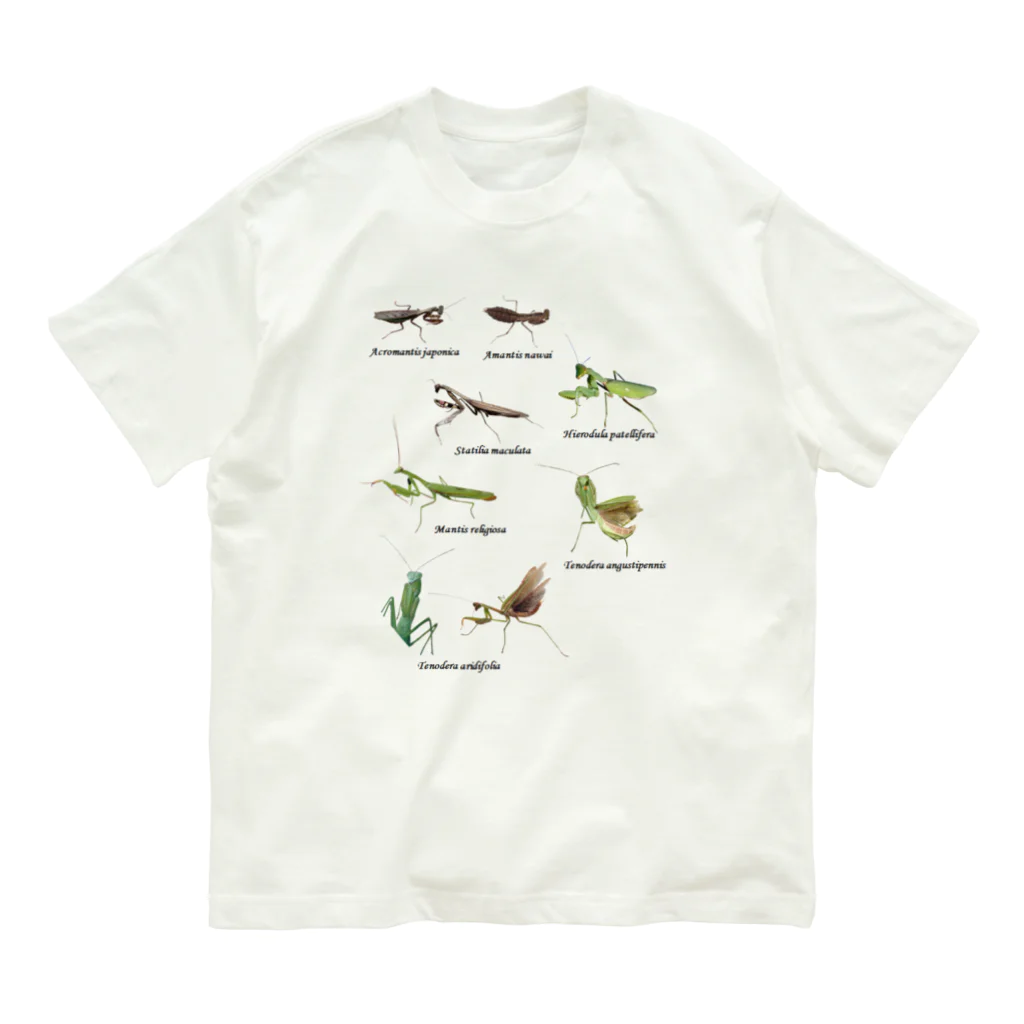 L_arctoaの関東のカマキリ（旧学名・非推奨）（背景透過ver） オーガニックコットンTシャツ