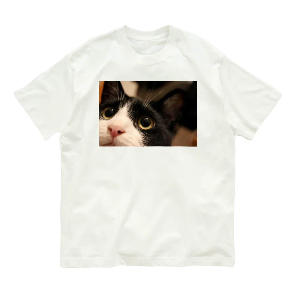 ねこの下僕のぶうちゃん オーガニックコットンTシャツ