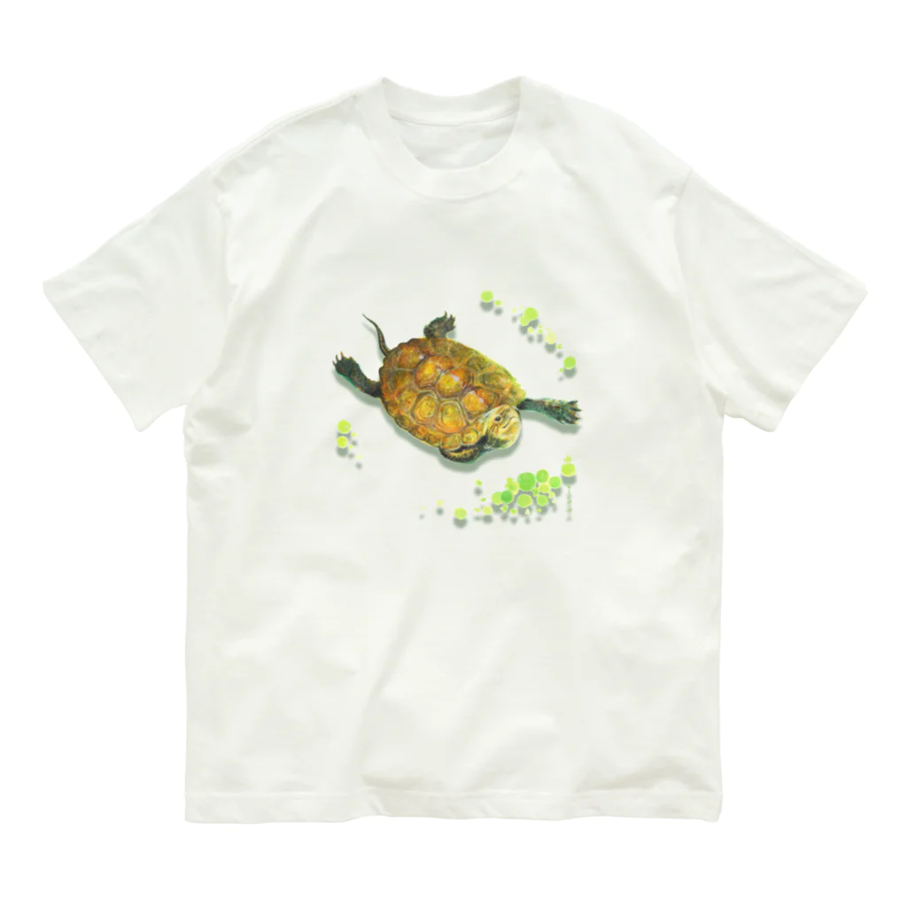 めろんぽっぷのお店だよの泳いできたよ、ニホンイシガメ Organic Cotton T-Shirt