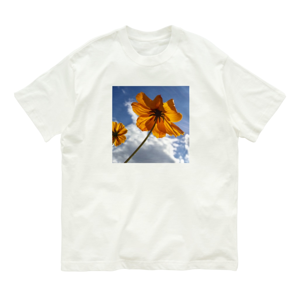 まとい屋の花模様  キバナコスモスA オーガニックコットンTシャツ