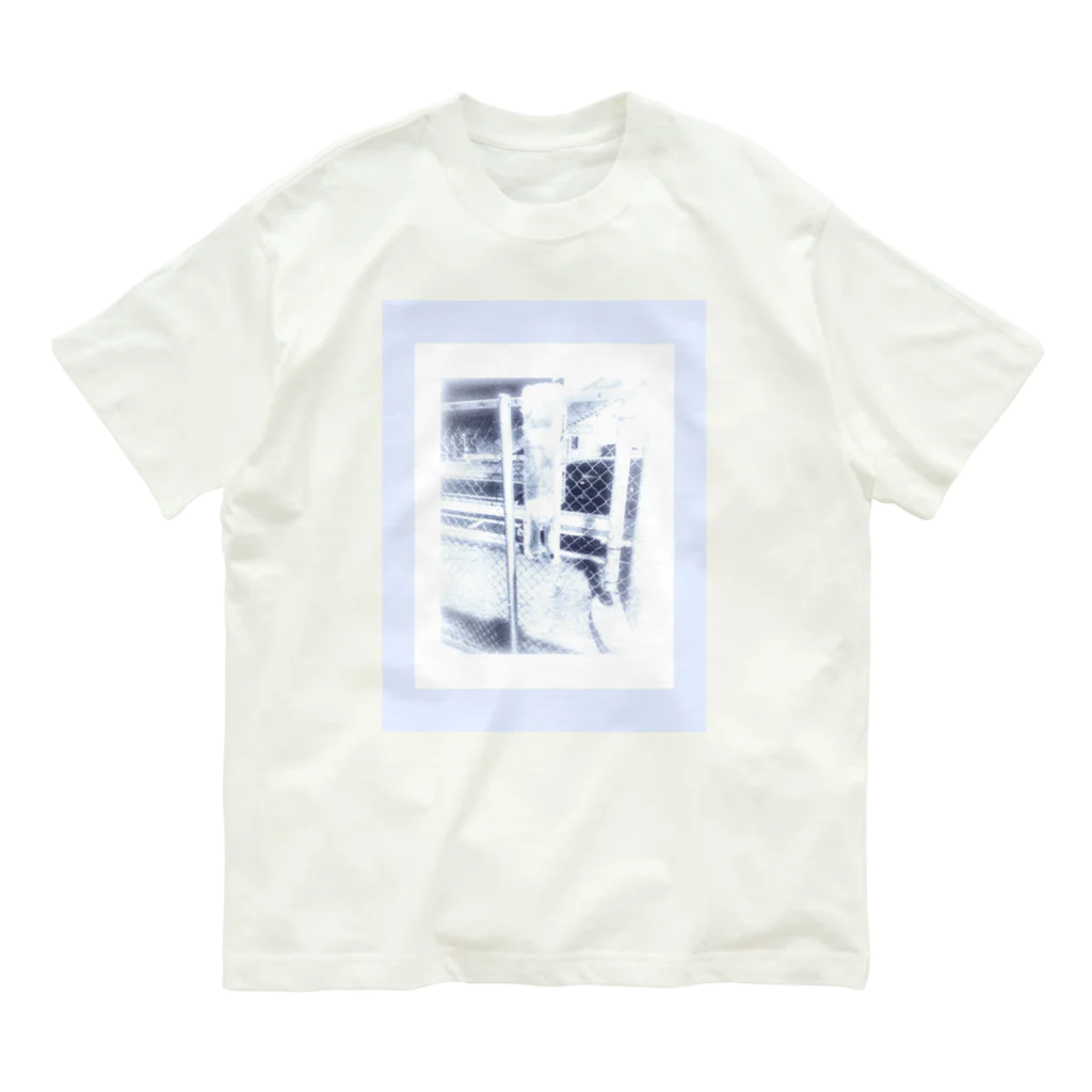 雑な生活のか Organic Cotton T-Shirt