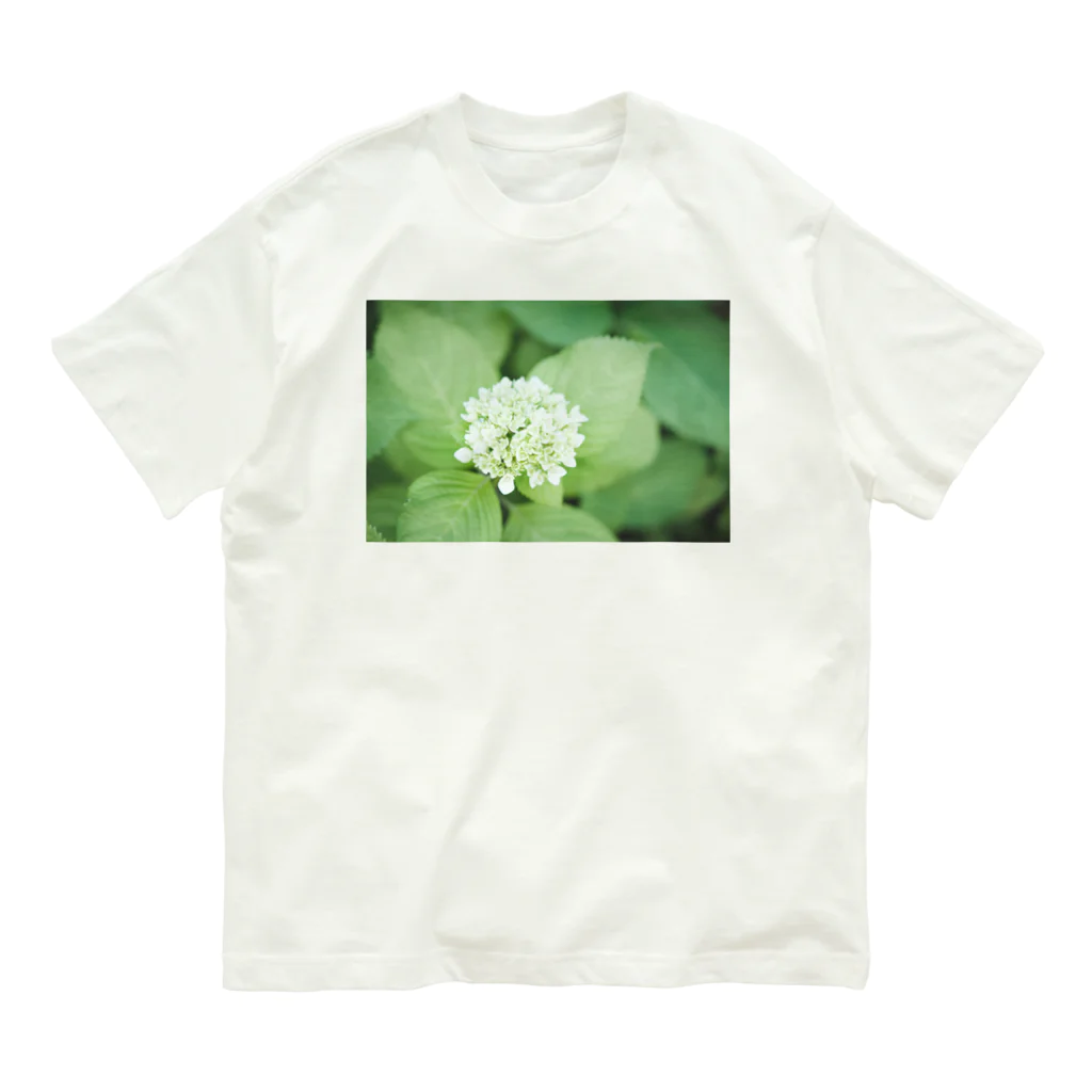 Leaves & Flowersの紫陽花はじめ Organic Cotton T-Shirt