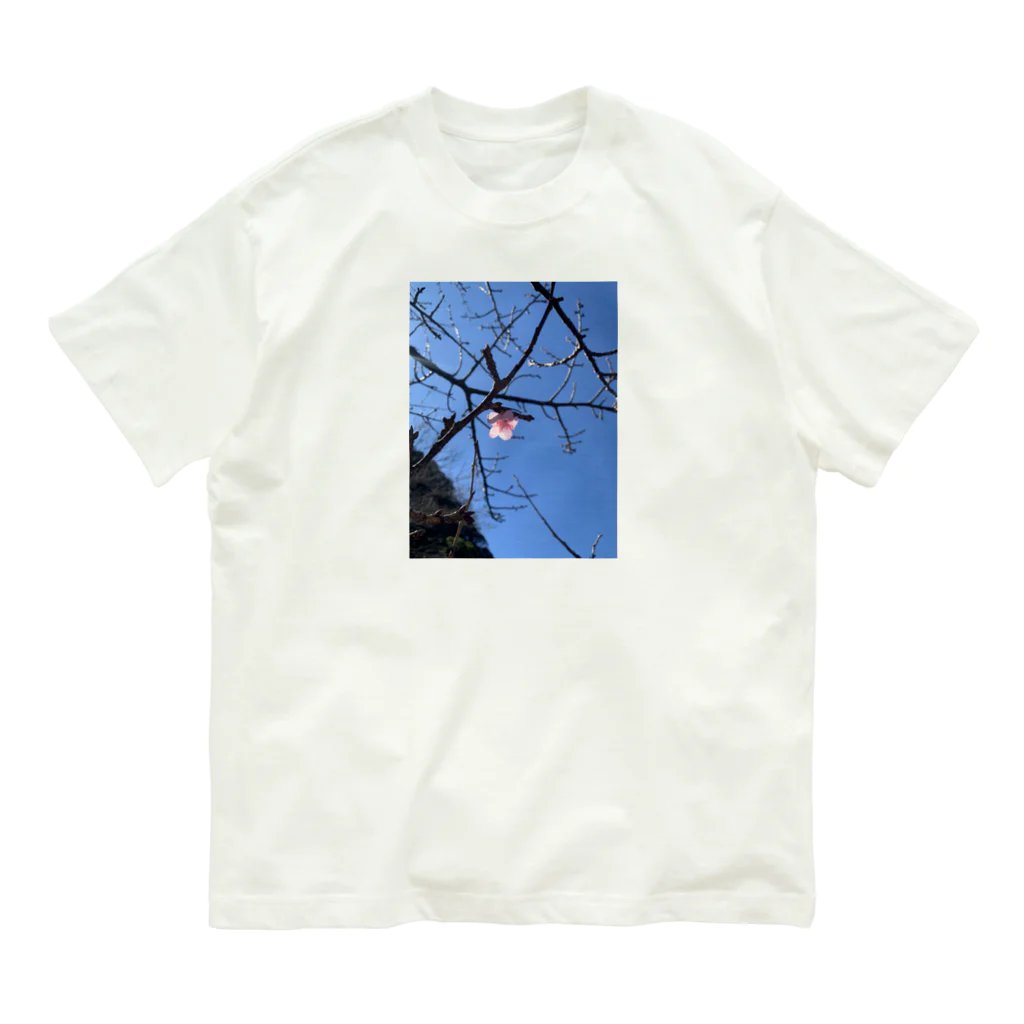 ロッキーMSK@A.B.Oの一輪ノ桜 Organic Cotton T-Shirt