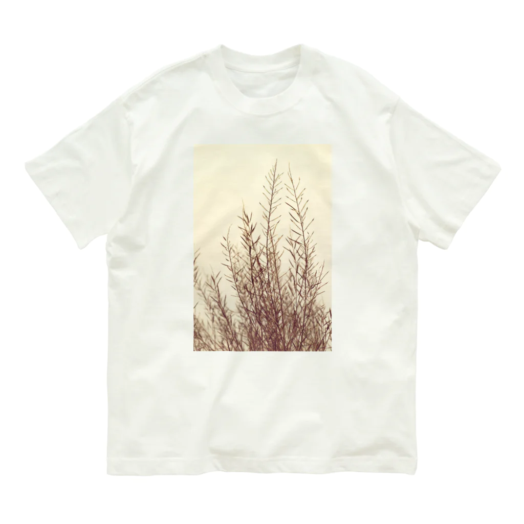 Leaves & Flowersの夕暮れ散歩|草を分け|タテ Organic Cotton T-Shirt