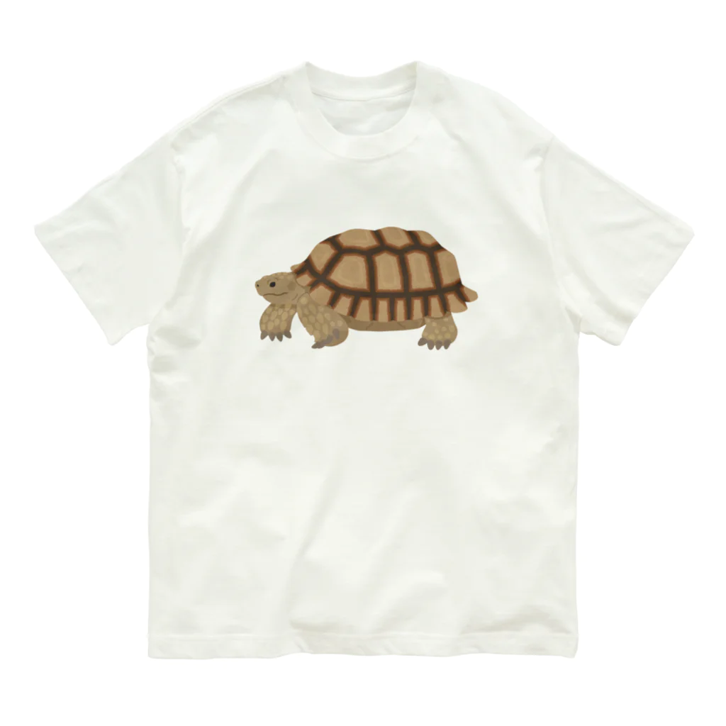 はやしりえのけづめりくがめさん　文字なし Organic Cotton T-Shirt