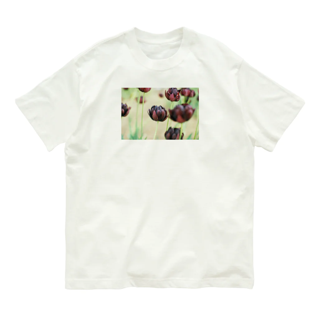 OTOFUのtulips オーガニックコットンTシャツ