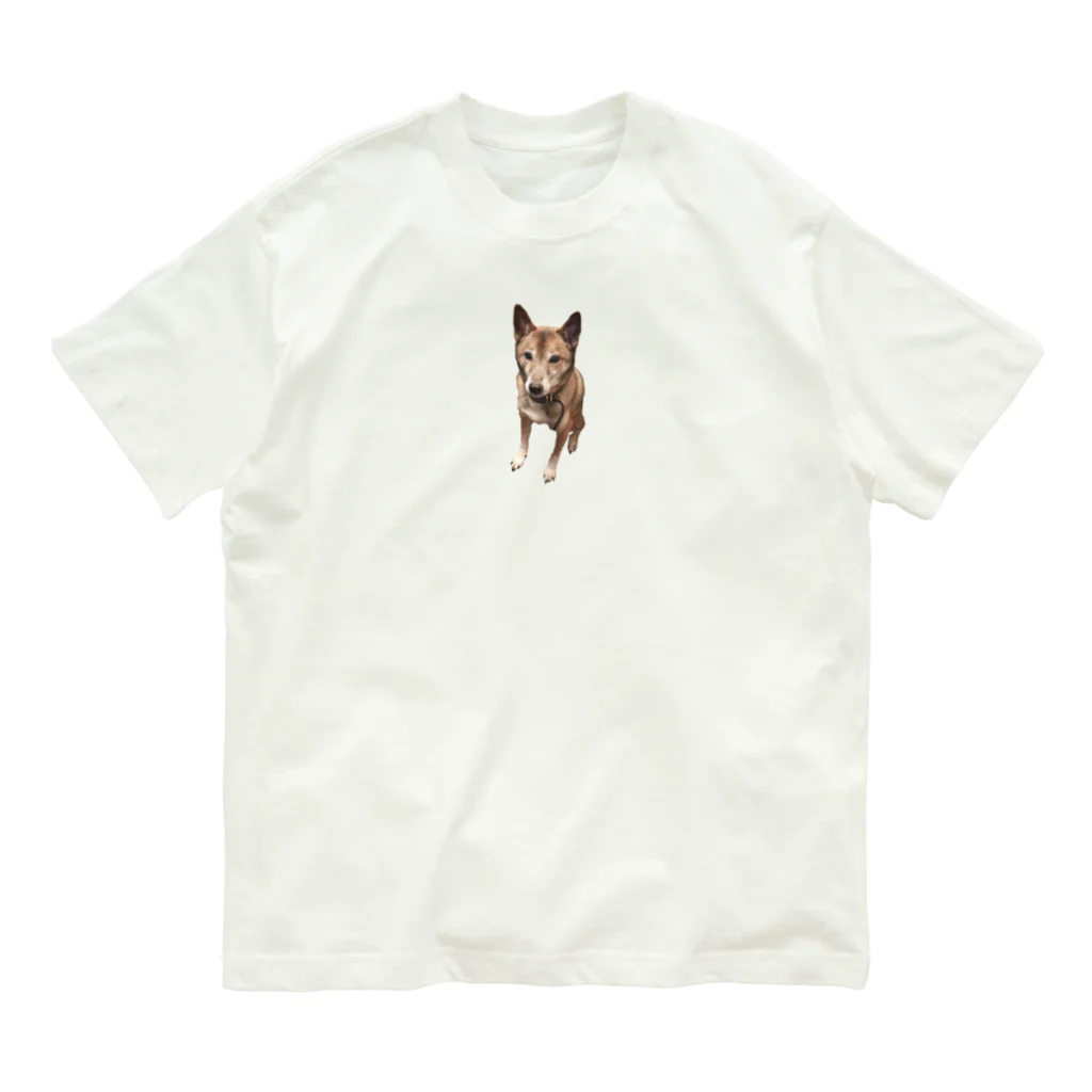 にわとりさんのアレンちゃん② Organic Cotton T-Shirt