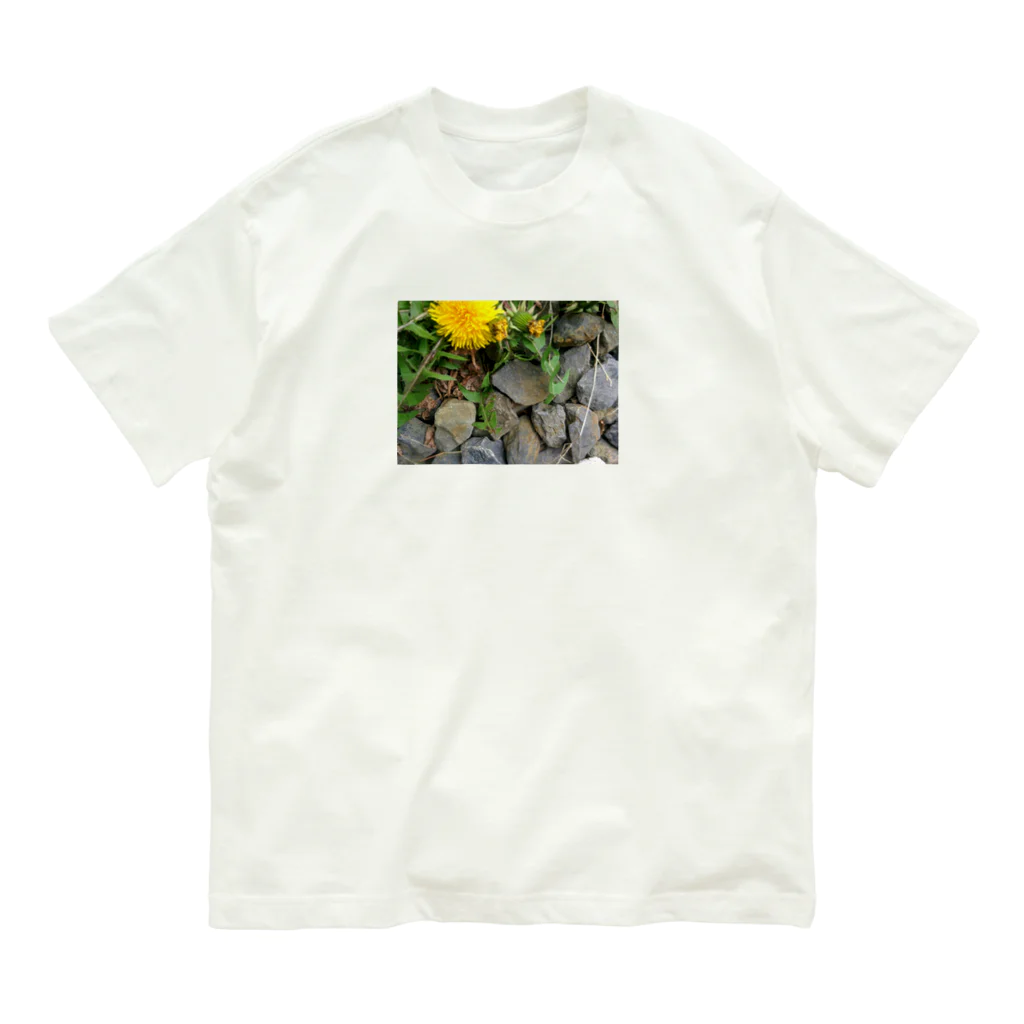 知恵袋の岩岩LION Organic Cotton T-Shirt