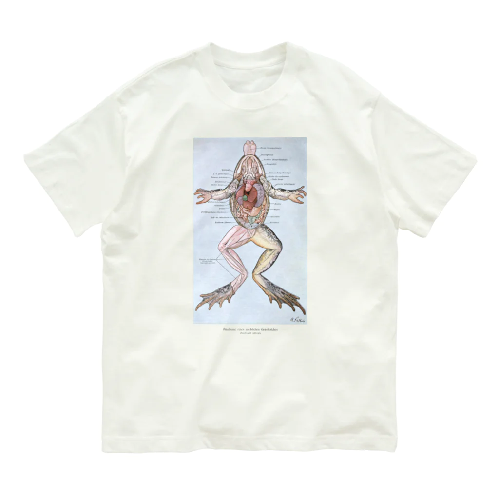 Rubbishのカエルの解剖 オーガニックコットンTシャツ