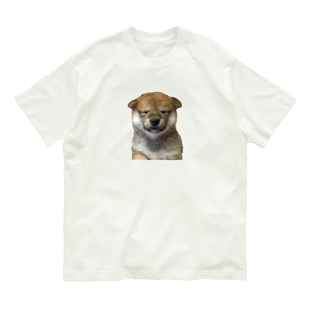 ロクサンの柴犬　子犬　Tシャツ オーガニックコットンTシャツ