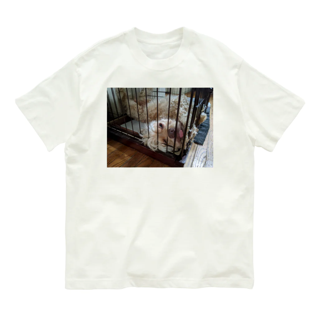 柴犬屋のdog オーガニックコットンTシャツ