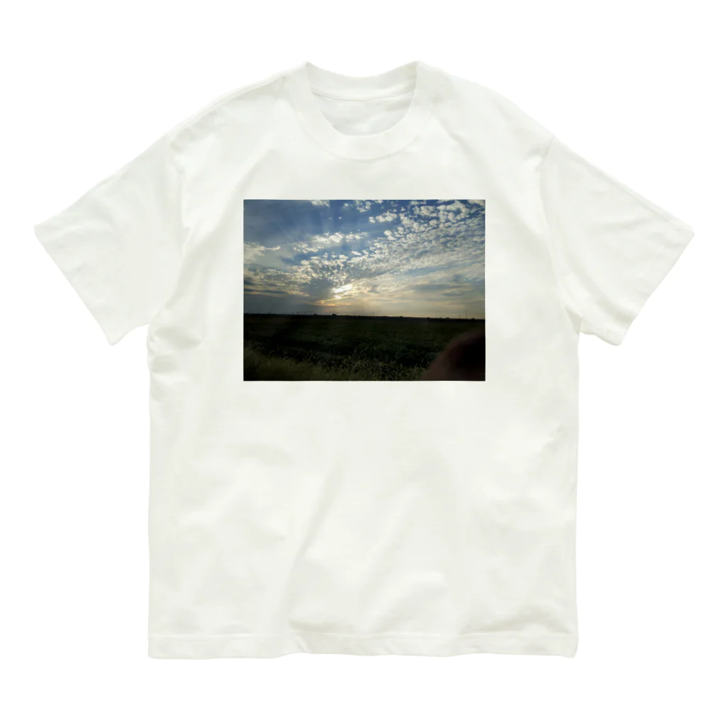 柴犬屋のsky オーガニックコットンTシャツ