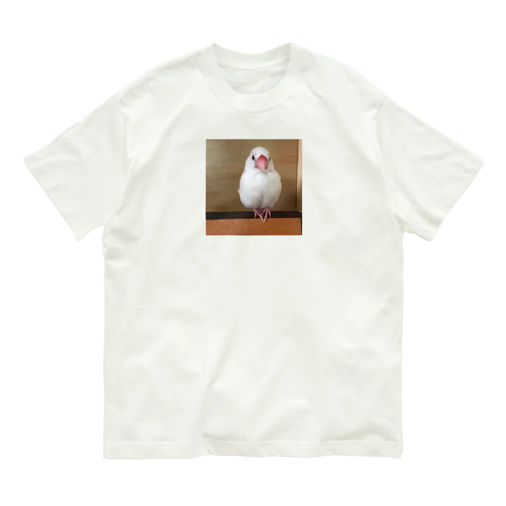 白文鳥のおもちさんの白文鳥のおもちさん オーガニックコットンTシャツ