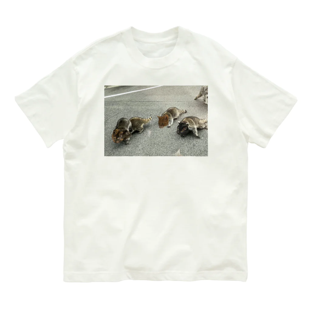 愛猫のグッズが欲しいのアライグマナスカルと子どもたち Organic Cotton T-Shirt