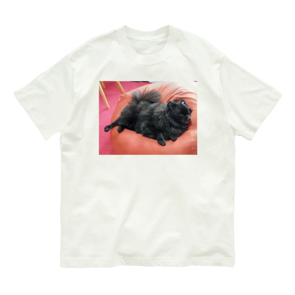 かねこまの寝る犬 オーガニックコットンTシャツ