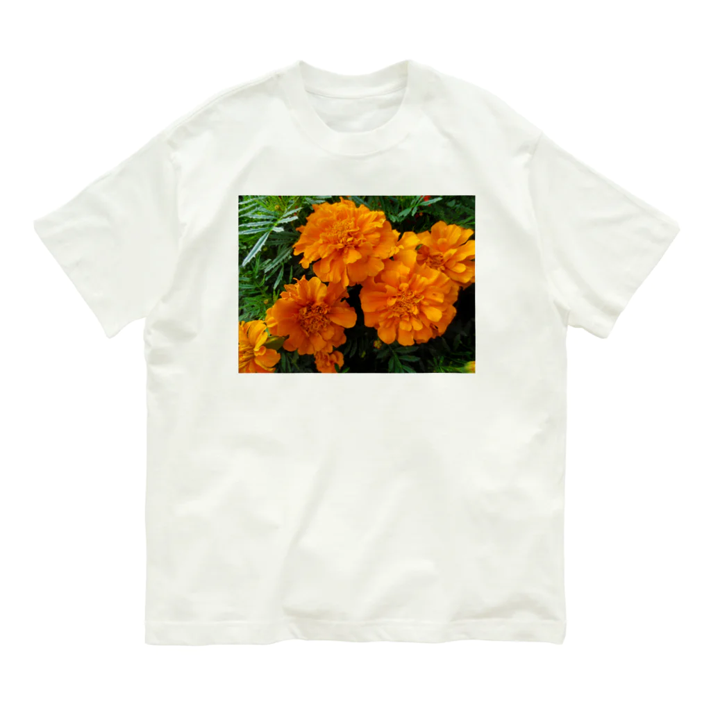 Dreamscape(LUNA)の秘密の小箱 Organic Cotton T-Shirt