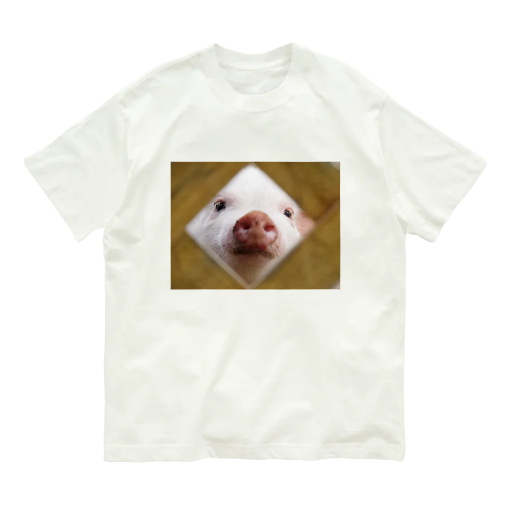 f.animalsのどあっぷ（ぶたさん） Organic Cotton T-Shirt