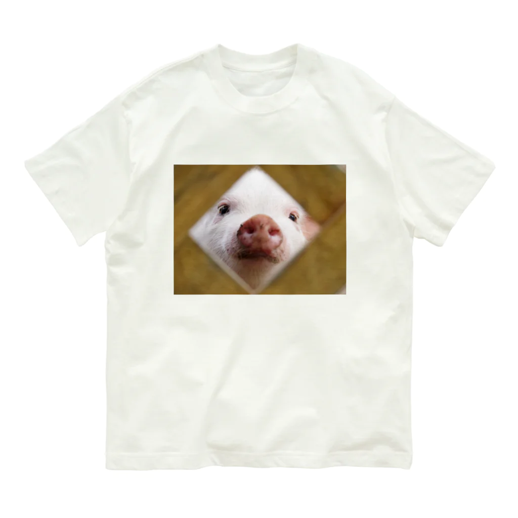 f.animalsのどあっぷ（ぶたさん） オーガニックコットンTシャツ