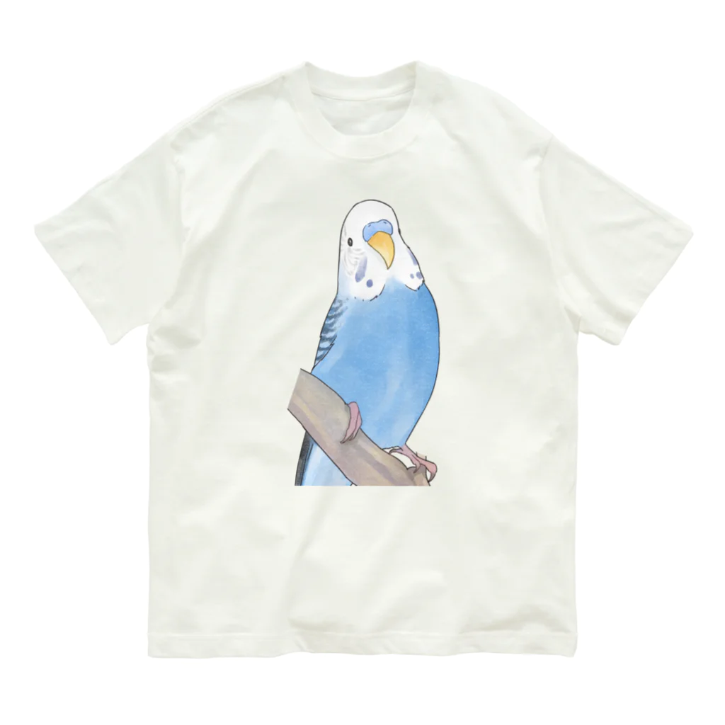 まめるりはことりのセキセイインコちゃんと止まり木【まめるりはことり】 Organic Cotton T-Shirt