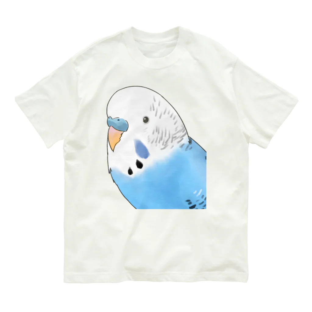 まめるりはことりの見つめるセキセイインコちゃん【まめるりはことり】 オーガニックコットンTシャツ