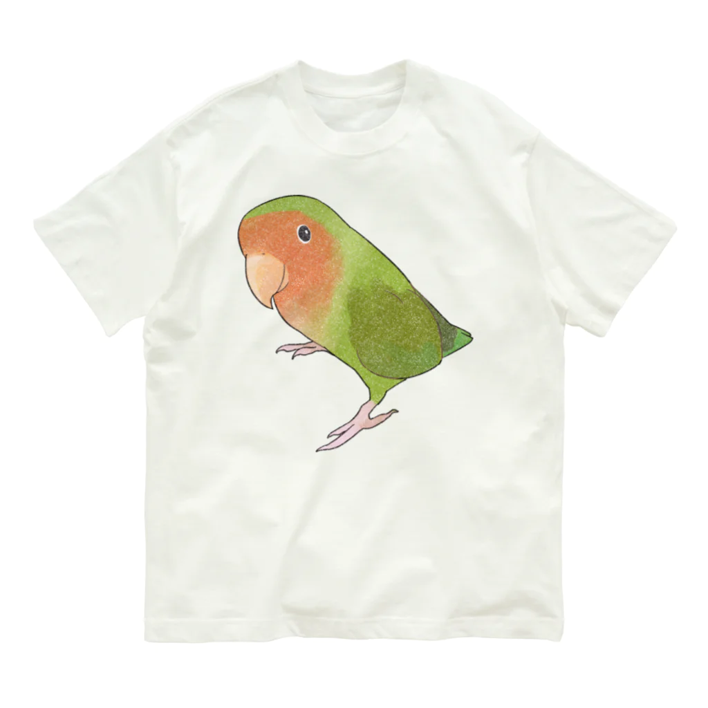 まめるりはことりの見つめるコザクラインコちゃん【まめるりはことり】 Organic Cotton T-Shirt