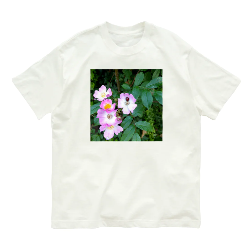 magentaの幸せのお福分け(おすそわけ) Organic Cotton T-Shirt