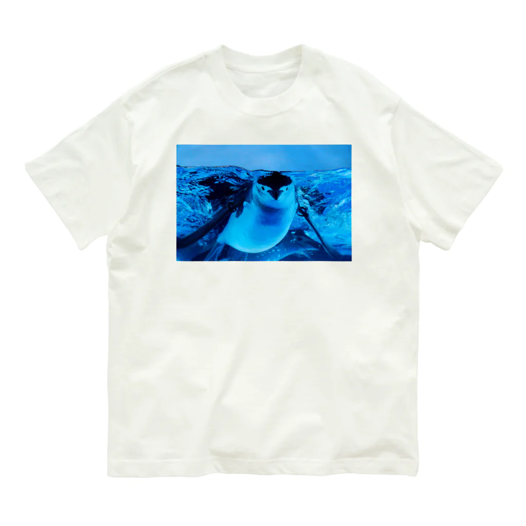ペンギンの写真のヒゲペンギン　写真　リアル Organic Cotton T-Shirt