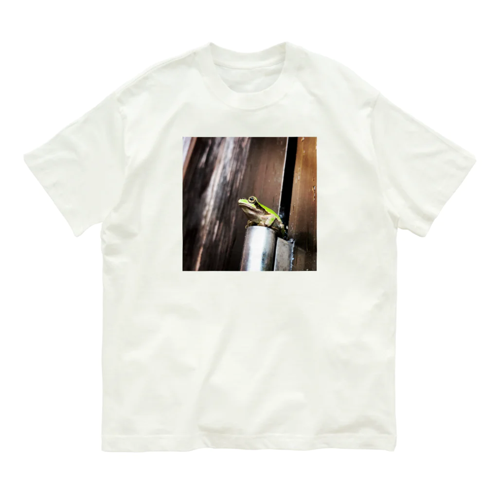 カエル屋の人間みたいなカエルくん3 Organic Cotton T-Shirt