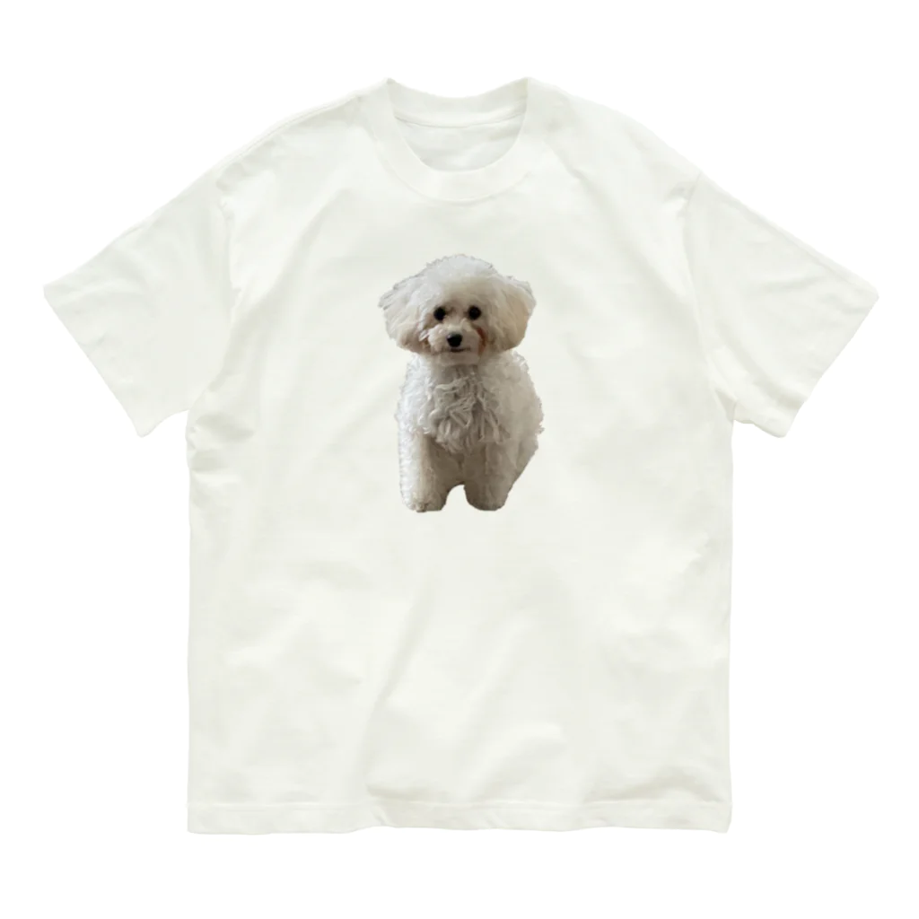 🧁ぱるむ🧁のトイプードルのぱるむちゃん オーガニックコットンTシャツ