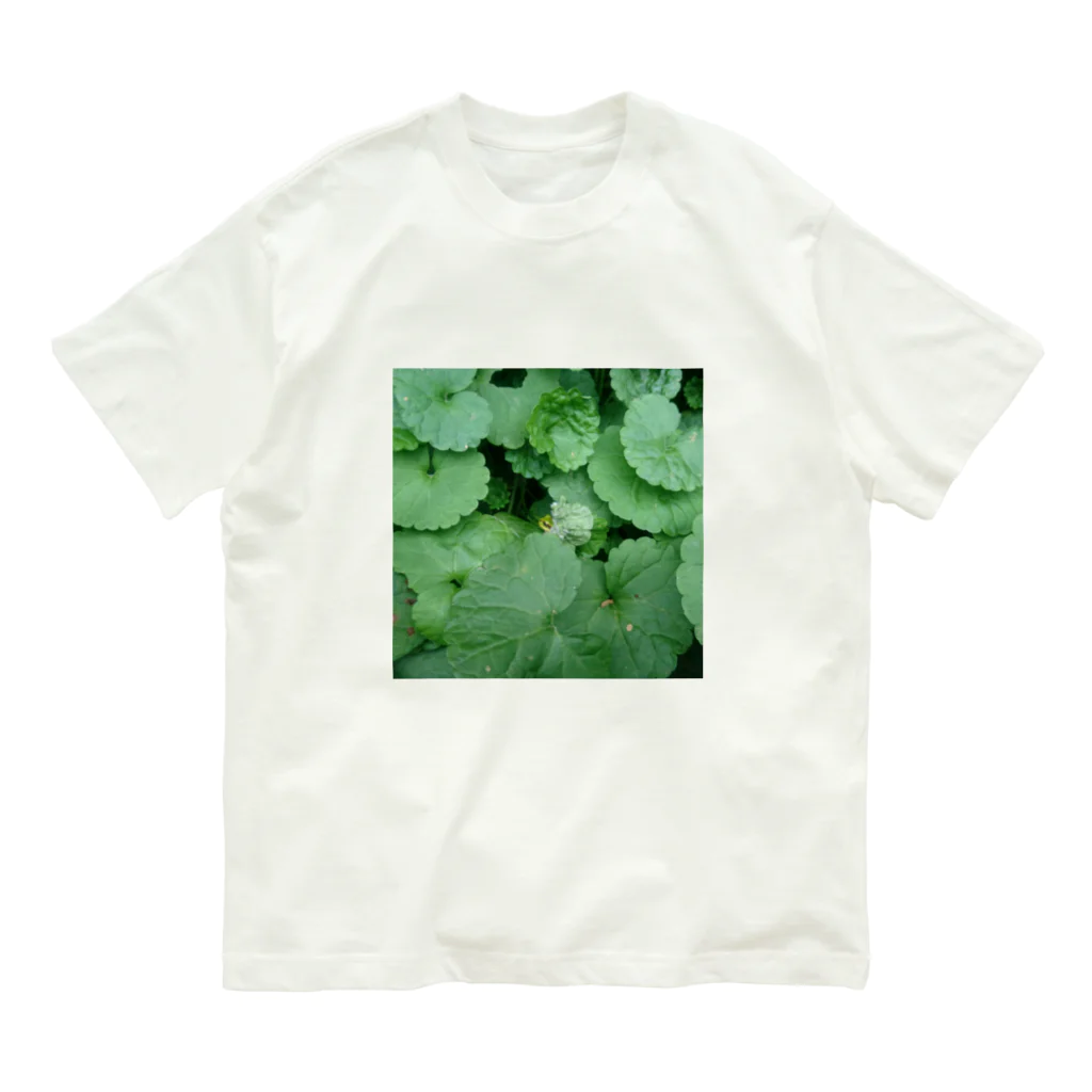 うつし堂のニホンアマガエル A Organic Cotton T-Shirt