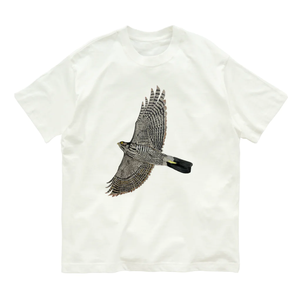 Coshi-Mild-Wildの🪶猛禽類　ツミ　🦅 だぞっ‼️ オーガニックコットンTシャツ