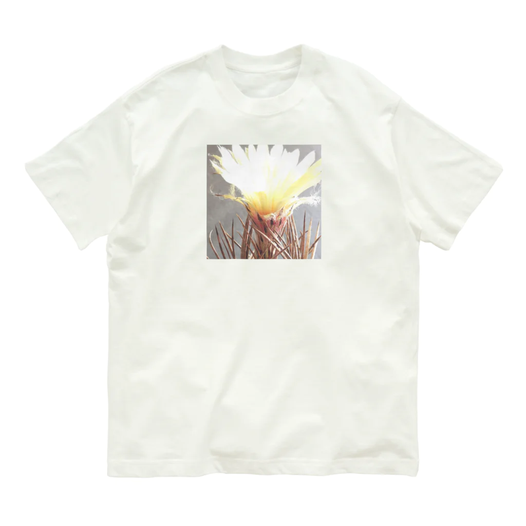 POJO  CACTUSの大鳳玉 アストロフィツム サボテン Organic Cotton T-Shirt