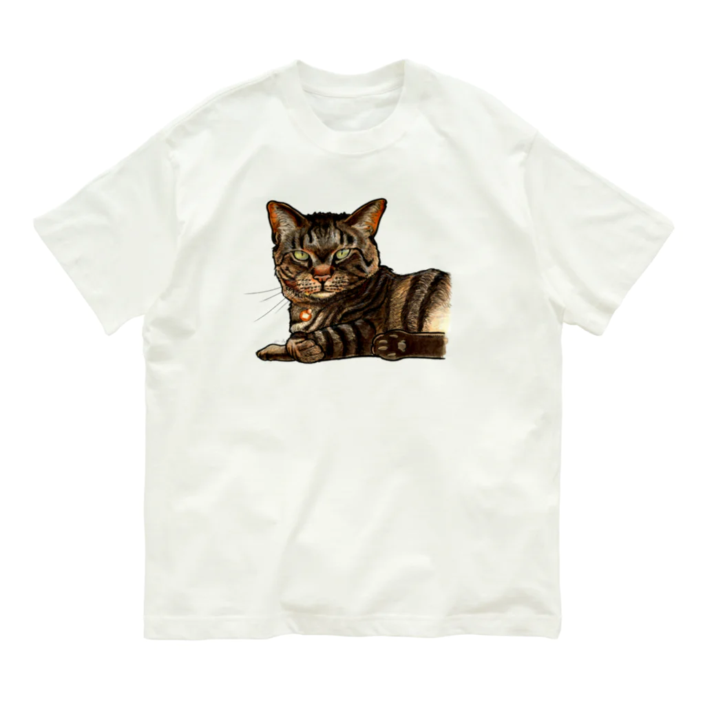 鼠の王国製作所のキジ柄の猫がこちらをみている オーガニックコットンTシャツ